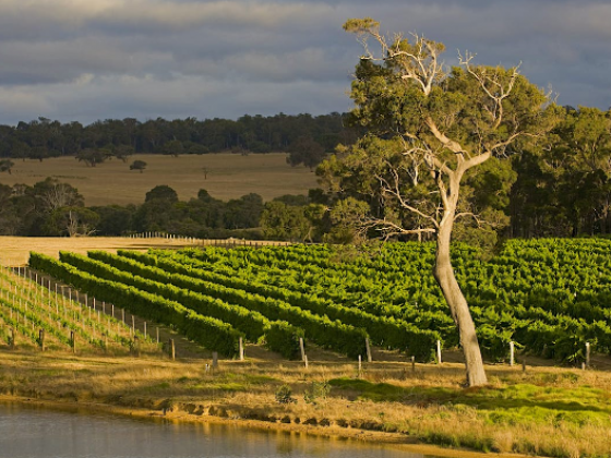Join us for an incredible three-day journey exploring the wonders of Margaret River!